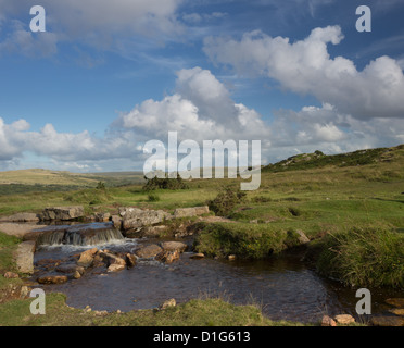 Die Grimstone und Sortridge Leat. Dartmoor Nationalpark Devon Uk. Stockfoto