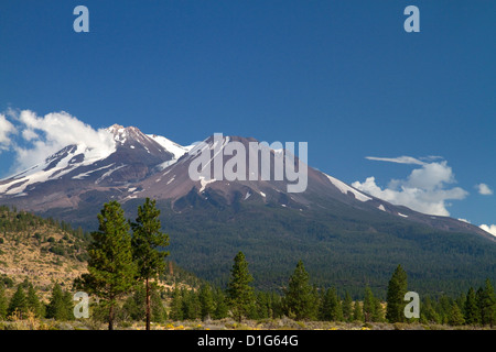 Mount Shasta Nord zugewandten Seite befindet sich in Siskiyou County, Kalifornien, USA. Stockfoto