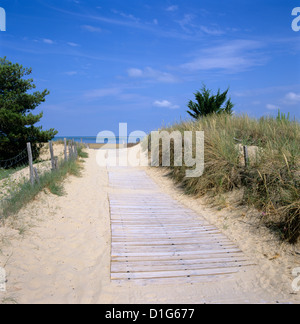 Strand an der Westküste, Ile de Ré, Poitou-Charentes, Frankreich, Europa Stockfoto