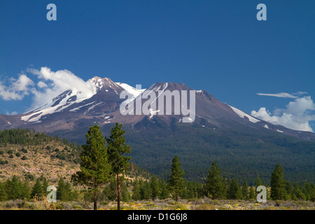 Mount Shasta Nord zugewandten Seite befindet sich in Siskiyou County, Kalifornien, USA. Stockfoto