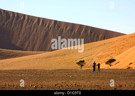 Zwei Touristen, die von riesigen Sanddünen der Namib-Naukluft-Park in den Schatten gestellt Stockfoto