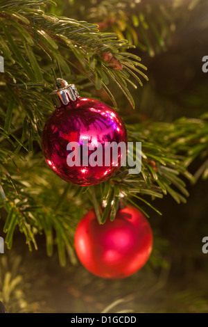 Weihnachtsbaum Hordman Kiefer Tanne geschmückt mit funkelnden Lichtern und Kugeln in grün lila und rosa, einige unscharf verschwommen Stockfoto