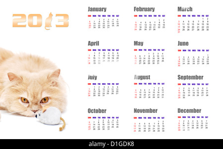 Kalender 2013 für Cat design Stockfoto