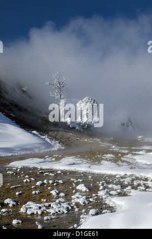 WY00118-00... WYOMING - Winter auf der unteren Terrasse von Mammoth Hot Springs im Yellowstone-Nationalpark. Stockfoto