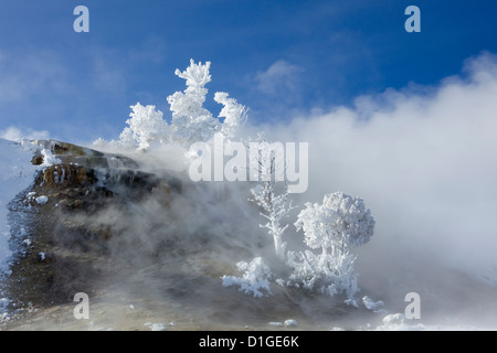 WY00127-00... WYOMING - Winter auf der unteren Terrasse von Mammoth Hot Springs im Yellowstone-Nationalpark. Stockfoto