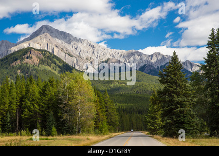 Bow Valley Parkway im Banff National Park in Alberta, Kanada Stockfoto