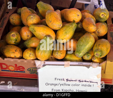 Papaya für Verkauf auf dem Bauernmarkt in Hilo Stockfoto