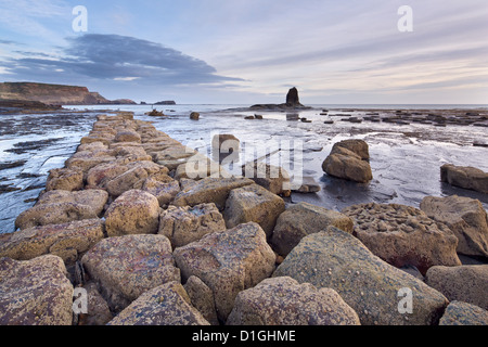 Barnacle verkrusteten Felsen mit schwarzen Nab, gegen Nab, gegen Bay, North Yorkshire, Yorkshire, England Stockfoto