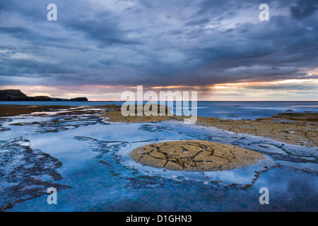 Alten Felsformationen auf dem Meeresboden Schiefer am gegen Bay, North Yorkshire, Yorkshire, England, Vereinigtes Königreich, Europa Stockfoto