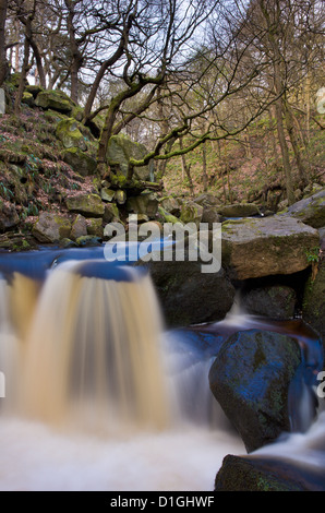 Padley Schlucht im Peak District in Derbyshire, England, Vereinigtes Königreich, Europa Stockfoto