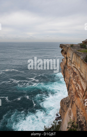 Der Spaziergang am Meer entlang in den östlichen Vororten von Sydney besticht mit toller Aussicht auf die Strände und die Tasmanische See. Stockfoto