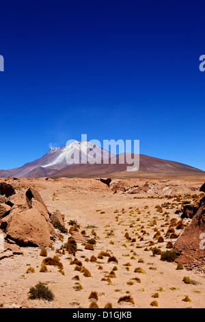 Südwesten-Hochland, Bolivien, Südamerika Stockfoto