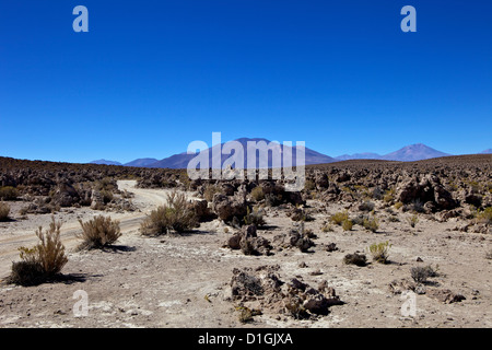 Südwesten-Hochland, Bolivien, Südamerika Stockfoto