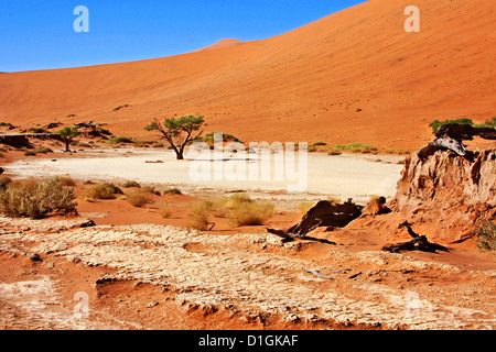 Getrockneten Baumstümpfe Hunderte von Jahren alten Wurf der trockenen Pfanne von Dead Vlei in Namibia Stockfoto