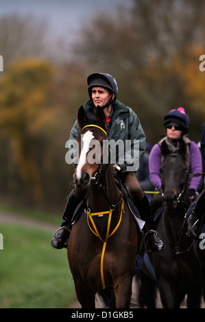 Eine Zeichenfolge von Pferden bei Paul Nicholls Stallungen in Ditcheat, Somerset - einschließlich des Champions Kauto Star (im Bild) den Weg Stockfoto