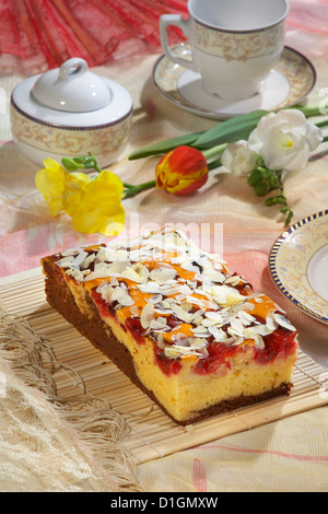 Kakao Pflaumenkuchen Stockfoto