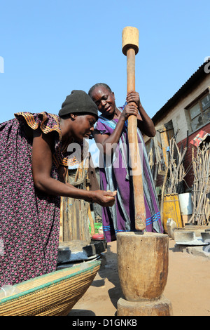 Zwei Frauen stampfen Hirse (Sorgum) mit Mörser und Pestel. Camp in einer schlechten Nachbarschaft von Tsumeb, Namibia Stockfoto