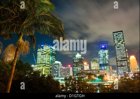 Palme und Brisbane Skyline bei Nacht, Brisbane, Queensland, Australien, Pazifik Stockfoto