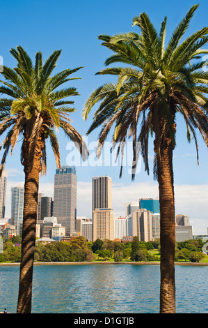 Sydney CBD und ins Stadtzentrum von Sydney Botanic Gardens, Sydney, New South Wales, Australien, Pazifik Stockfoto