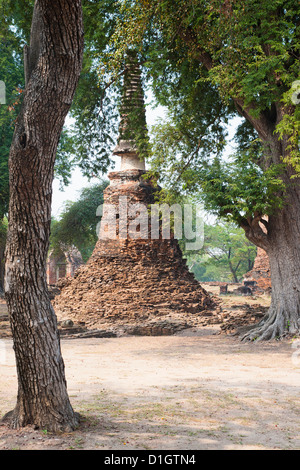 Stupa im Wat Phra Si Sanphet im alten historischen Park der Stadt Ayutthaya, Thailand, Südostasien, Asien Stockfoto