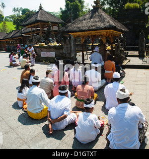 Gruppe von Hindus beten an Pura Tirta Empul Tempel, Bali, Indonesien, Südostasien, Asien Stockfoto