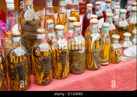 Reiswein-Flaschen gefüllt mit Eidechsen, Luang Prabang, Laos, Indochina, Südostasien, Asien Stockfoto