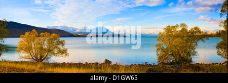 Panorama der Herbst Bäume am Lake Tekapo, Canterbury, Southern Lakes, Südinsel, Neuseeland, Pazifik Stockfoto