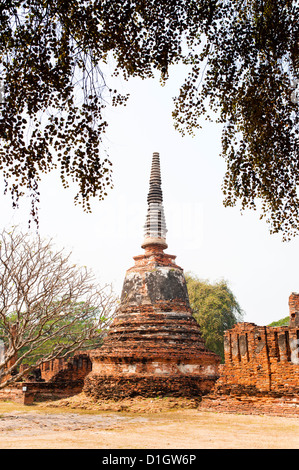 Stupa im Wat Phra Si Sanphet im alten historischen Park der Stadt Ayutthaya, Thailand, Südostasien, Asien Stockfoto