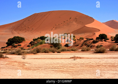 Eine riesige Sanddüne in der Namib Naukluft park Stockfoto