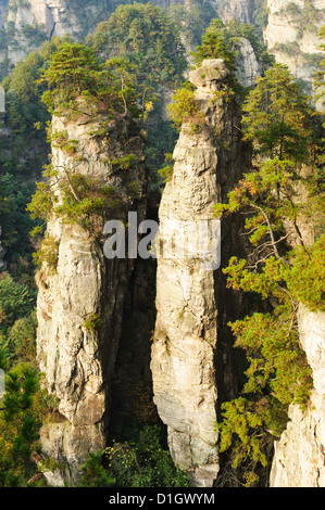 Steilen Berg in Zhangjiajie National Forest Park befindet sich in der Provinz Hunan, China Stockfoto