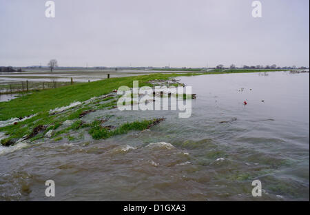 21. Dezember 2012. Beal, North Yorkshire, UK.  Flut Wasserform den Fluss Aire Platzen der Banken verursacht Verschluss für Gemeindestraßen Stockfoto