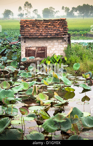Kleinbauern-Hütte in einem sumpfigen Gebiet von Ninh Binh vom Fluss Keng Gar in Vietnam Stockfoto