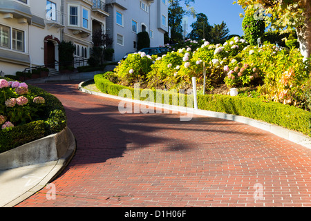 Lombard Street in San Francisco, USA Stockfoto