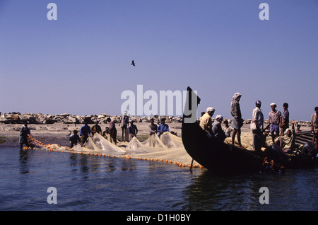 Team der Fischer schleppen ein großes Netz von Fischen aus dem Meer zusammen, Kerala Backwaters Indien Stockfoto