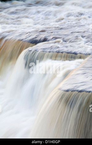 Mittlere Kraft am Aysgarth Falls, Yorkshire Dales, UK Stockfoto
