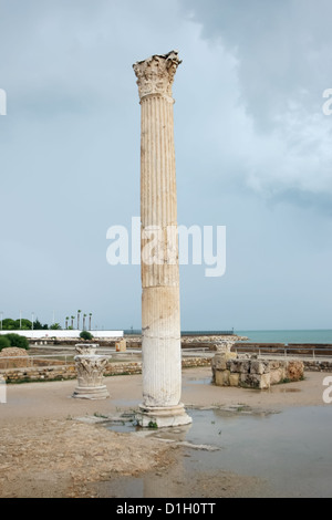 Karthago, Tunis, Tunesien, Gesamtansicht der Antonine Bäder. Korinthischen Kapitellen und Spalte - Fragment Ruinen des Gymnasiums Stockfoto