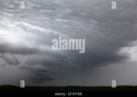 Bewässerung Sprinkler unter einem riesigen Sturm. Stockfoto