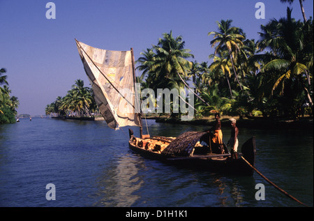 Ein Reisbarsch gleitet durch den palmengesäumten Kanal des Kerala Backwaters Südindien Stockfoto