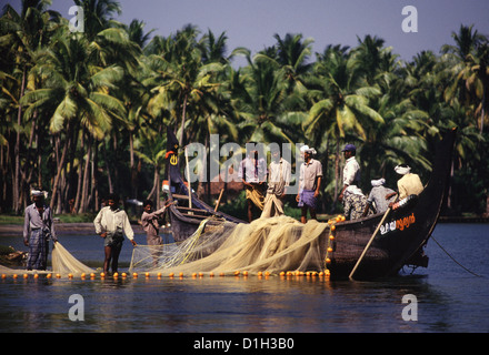 Fischer schleppen ein großes Fischnetz aus dem Meer zusammen, an einem palmengesäumten Kanal von Kerala Backwaters Südindien Stockfoto