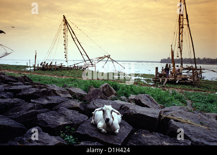 Gigantische 10 Meter hohe, von der Küste betriebene Aufzugsnetze, die als chinesische Fischernetze oder Cheena Vala am Ufer von Fort Kochi im Bundesstaat Kerala Südwestindien bezeichnet werden. Sie Netze wurden im 14. Jahrhundert von den Kaufleuten des Hofes von Kublai Khan eingeführt. Stockfoto