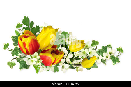 Rahmen aus Blumen Ausschnitt auf weißem Hintergrund Stockfoto