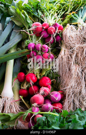 Farmers Market, Martha's Vineyard, Massachusetts, USA Stockfoto