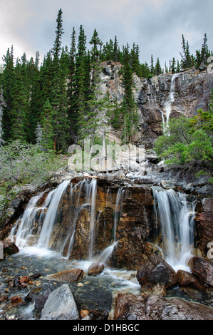 Tangle Creek Falls im Jasper Nationalpark, Alberta, Canada Stockfoto