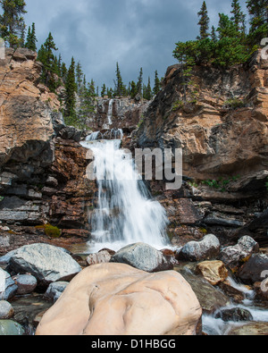 Tangle Creek Falls im Jasper Nationalpark, Alberta, Canada Stockfoto