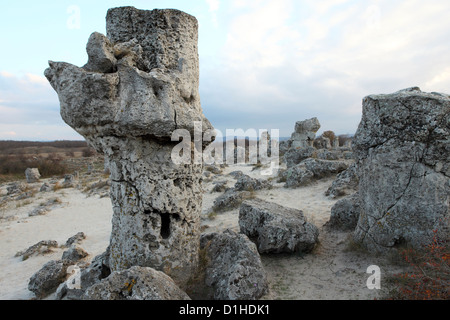 Pobiti Kamani, der Steinwald, in der Nähe von Varna, Bulgarien. Stockfoto