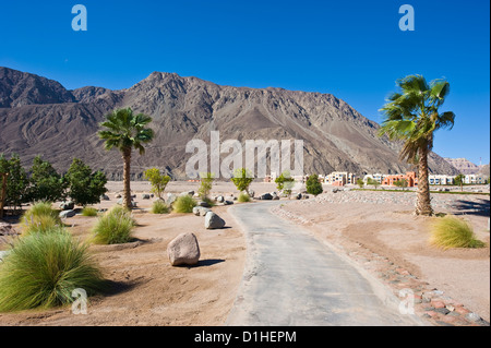 Hotelresort und Golfplatz in der Wüste in Aqaba Bucht des Roten Meeres in Ägypten. Stockfoto