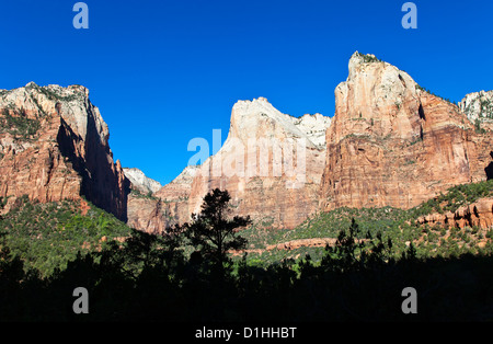 Gericht des Patriarchen, Zion NP, Utah Stockfoto