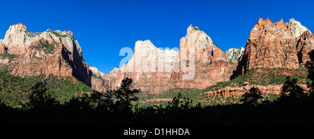 Gericht des Patriarchen, Zion NP, Utah Stockfoto