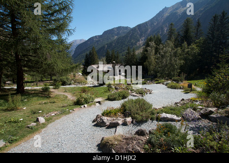 Botanischer Garten - Valnontey Aosta-Tal Stockfoto