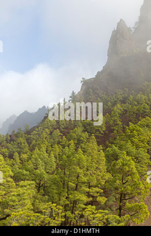 Caldera de Taburiente National Park, La Palma, Kanarische Inseln, Spanien Stockfoto